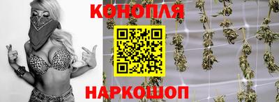 хмурый Кингисепп