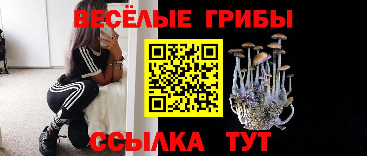 Псилоцибиновые грибы ЛСД  Вход с VPN  Кузнецк 